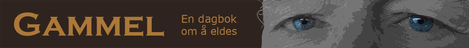 Toppbanner, artikkel i serien Gammel – en dagbok om å eldes